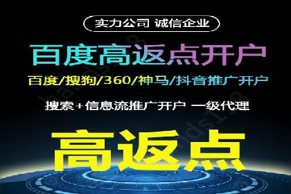 竞价排名策略案例：广告效果最大化技巧